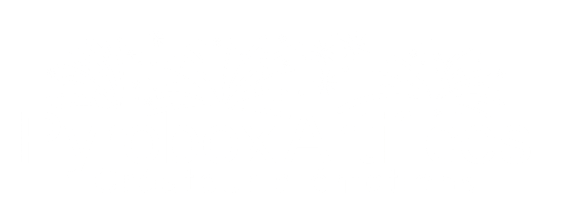 feu-artifice-achat-en-ligne-logo-blanc