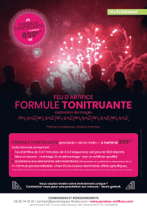 feu-artifice-formule-evenement