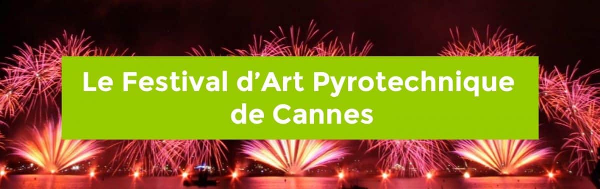 festival-dart-pyrotechnique